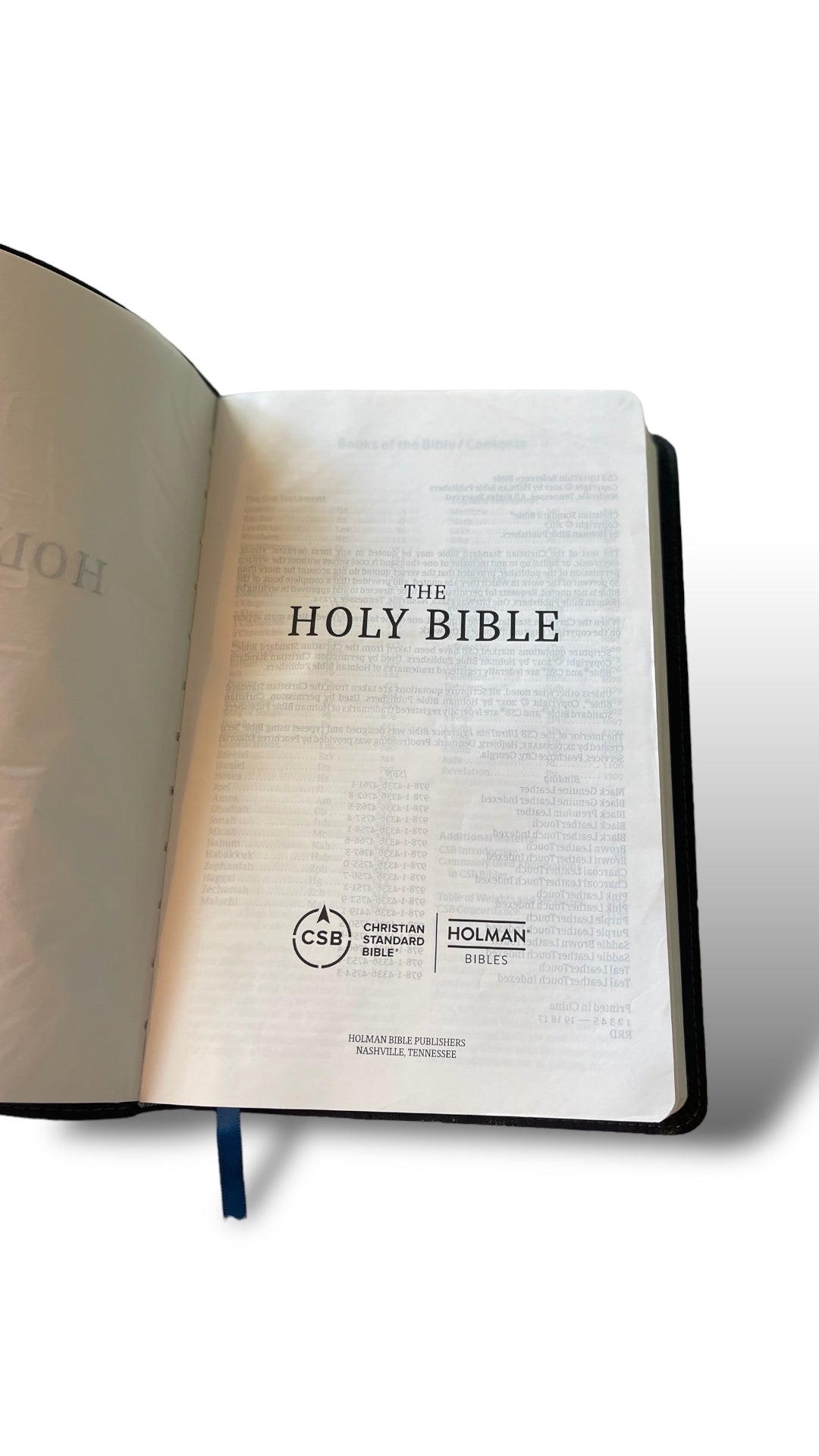 HAND-PAINTED BIBLE